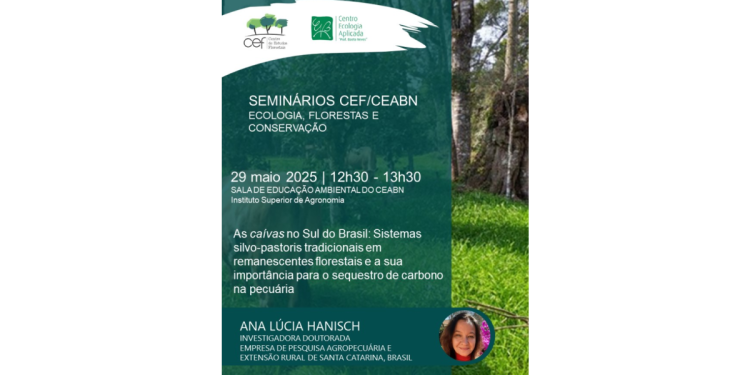 seminario ceaf ana lucia