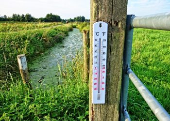 thermometer
