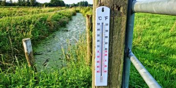 thermometer