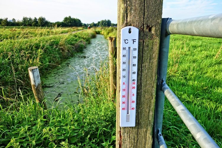 thermometer