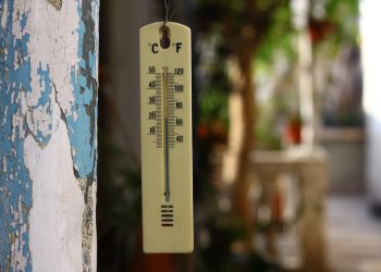 thermometer