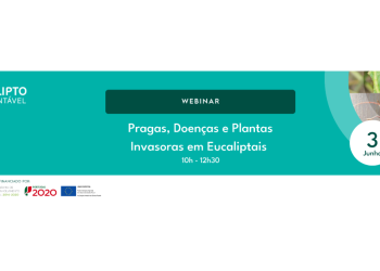 webinar biond eucalipto
