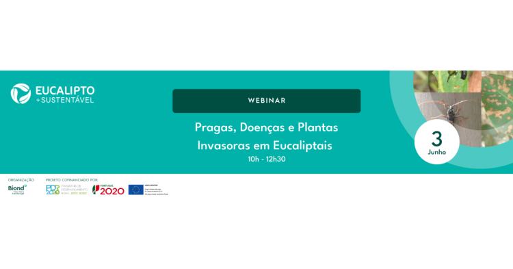 webinar biond eucalipto