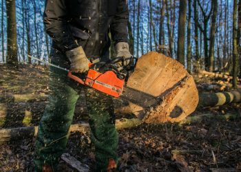 wood chainsaw