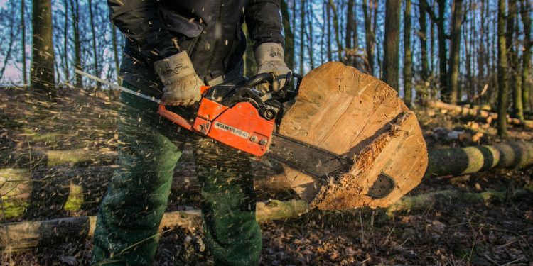 wood chainsaw