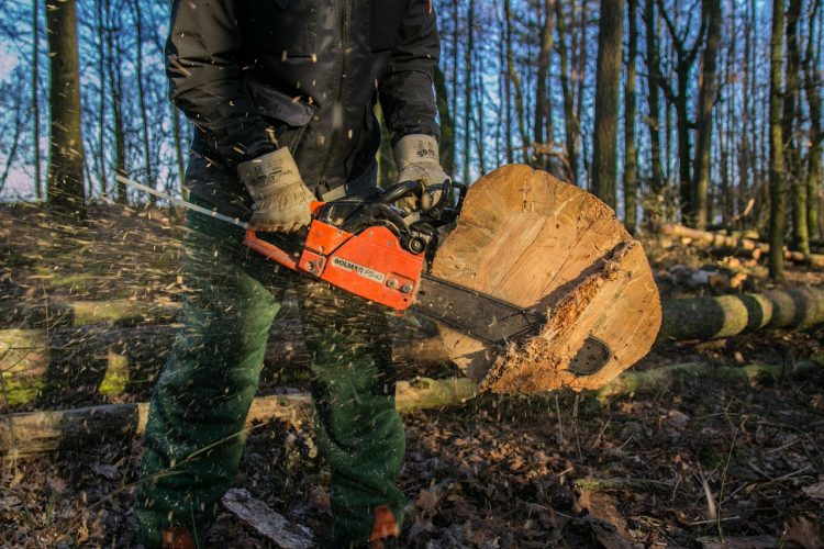 wood chainsaw