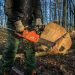 wood chainsaw