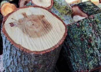wood