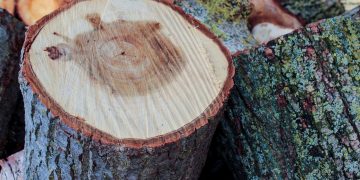 wood