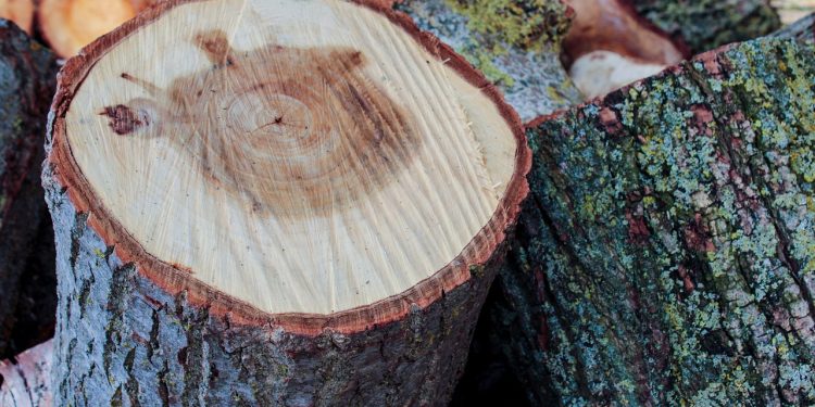 wood