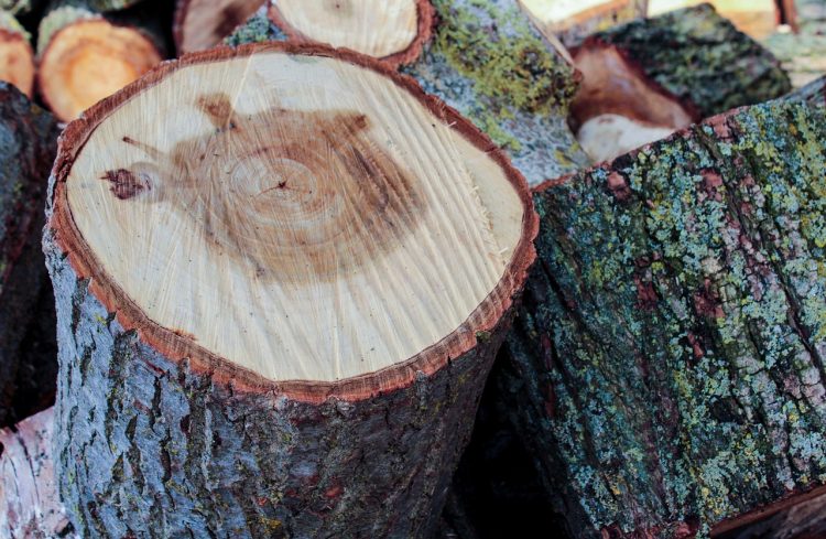wood