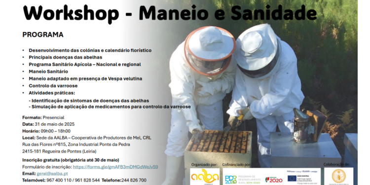 worshop maneio sanidade abelhas