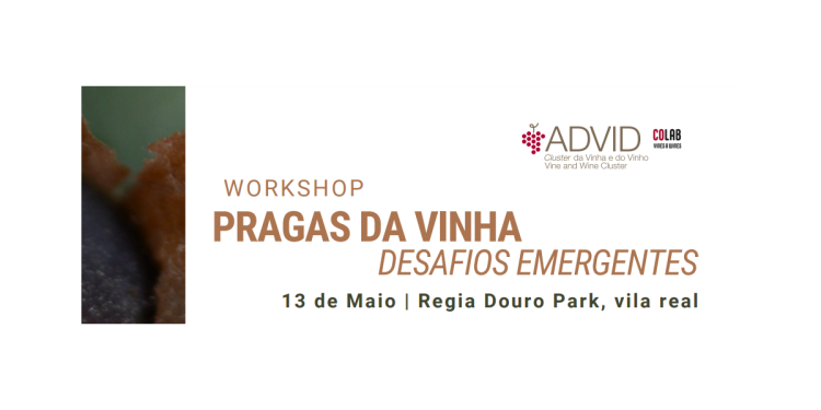 ´workshop pragas vinha