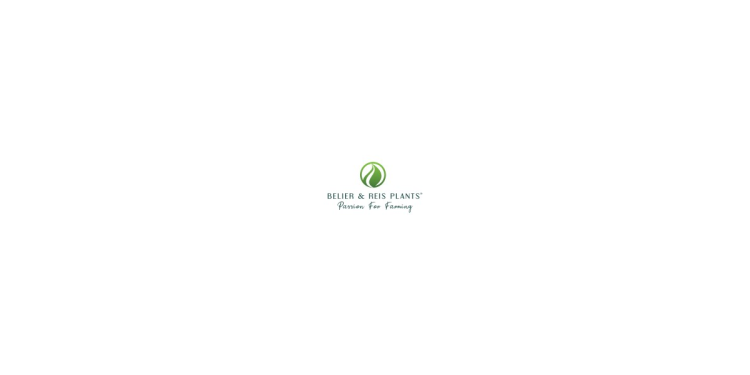 Belier & Reis Plants