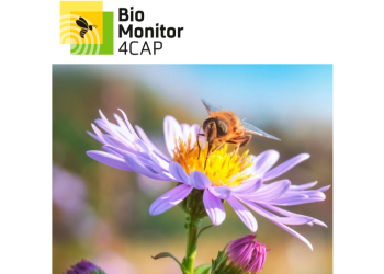 BioMonitor4CAP