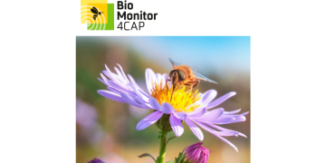 BioMonitor4CAP
