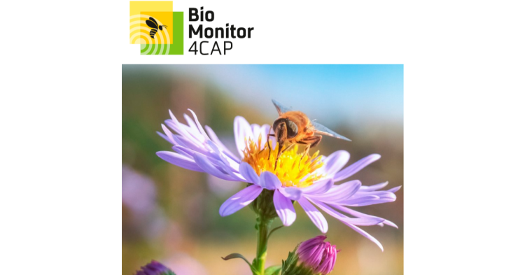 BioMonitor4CAP