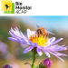 BioMonitor4CAP
