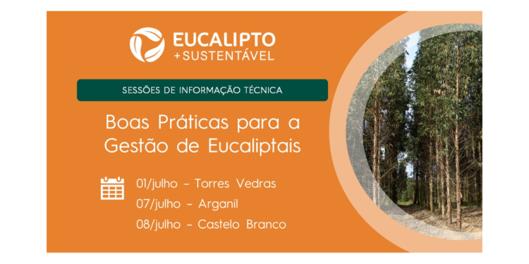 Boas Práticas para a Gestão de Eucaliptais