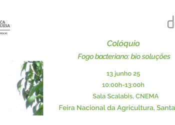 Colóquio - Fogo bacteriano: bio soluções