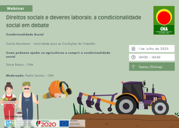 Direitos sociais e deveres laborais