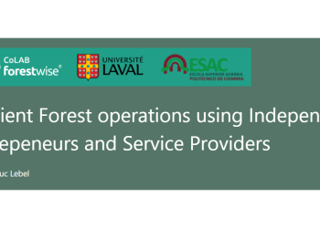 Efficient Forest operations using Independent Entrepeneurs and Service Providers