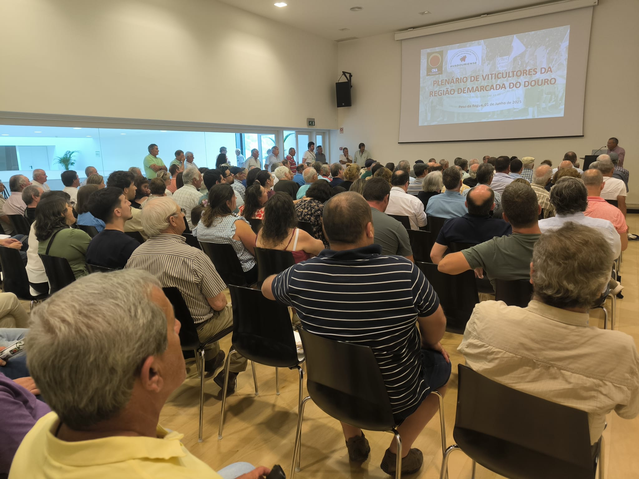 Viticultores do Douro anunciam Manifestação para 2 de Julho