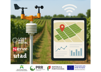Revolução dos Dados na Viticultura de Precisão