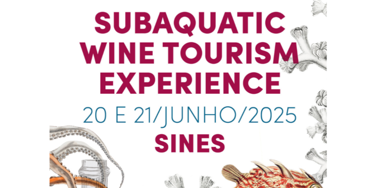 Subaquatic Wine Tourism Experience