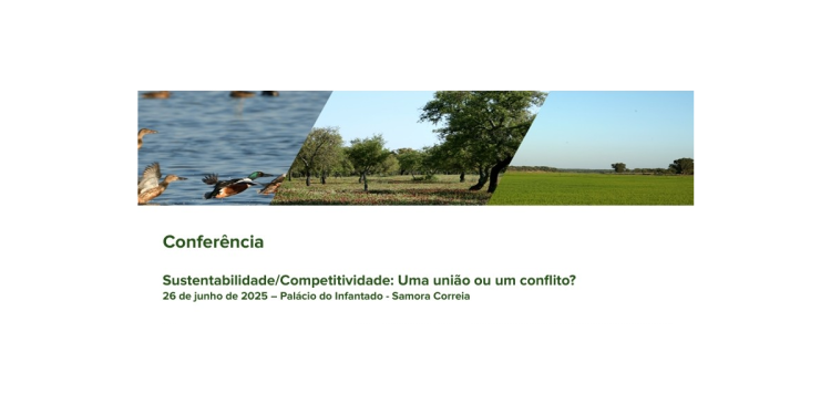 Sustentabilidade Competitividade Uma união ou um conflito