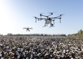 agricultura drone campo