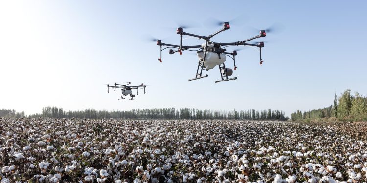 agricultura drone campo