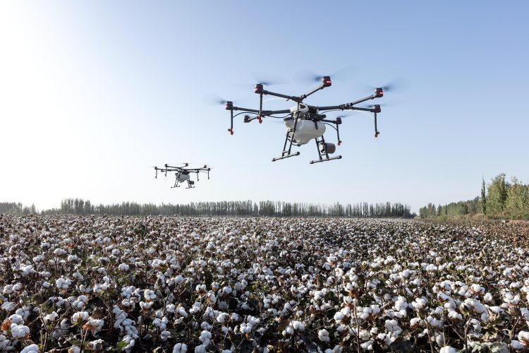 agricultura drone campo