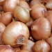 cebolas