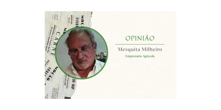 mesquita milheiro