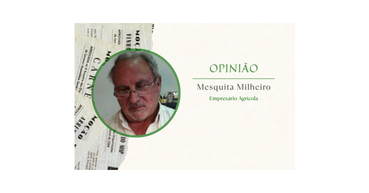 mesquita milheiro