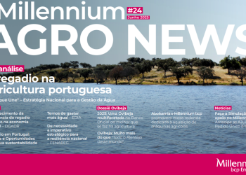 millenium agro news 24