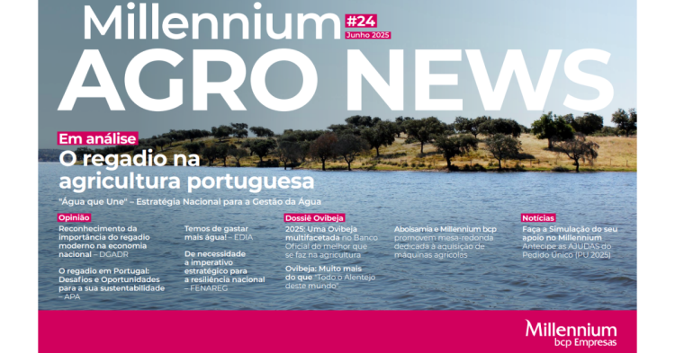 millenium agro news 24