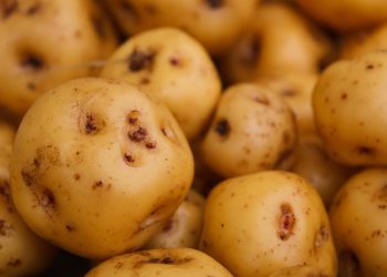 batata