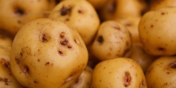 batata