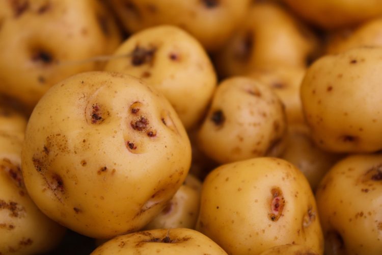 batata