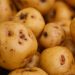 batata