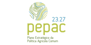 pepac logo 23 27