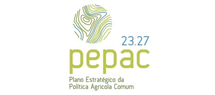 pepac logo 23 27