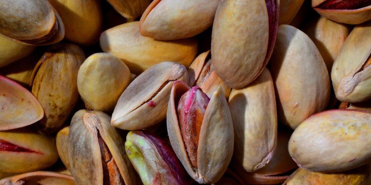 pistachio