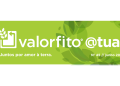 valorfito atual 45
