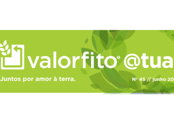 valorfito atual 45
