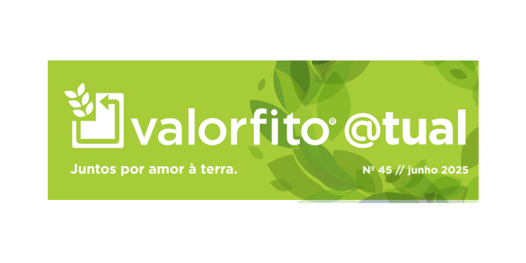 valorfito atual 45