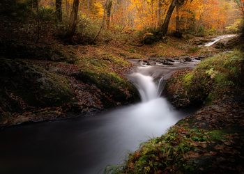 ribeira rio água