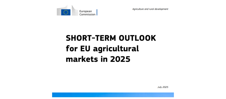 DG AGRI mercados agrícolas UE 2025